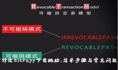 如何修改BitPapp下载地址：简单步骤与常见问题解