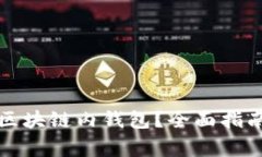 如何选择最佳的区块链内钱包？全面指南与常见