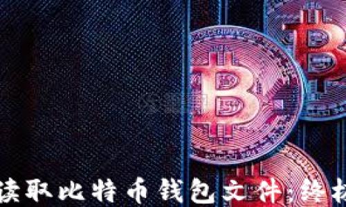 
如何读取比特币钱包文件：终极指南