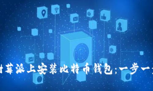 如何在树莓派上安装比特币钱包：一步一步的指南